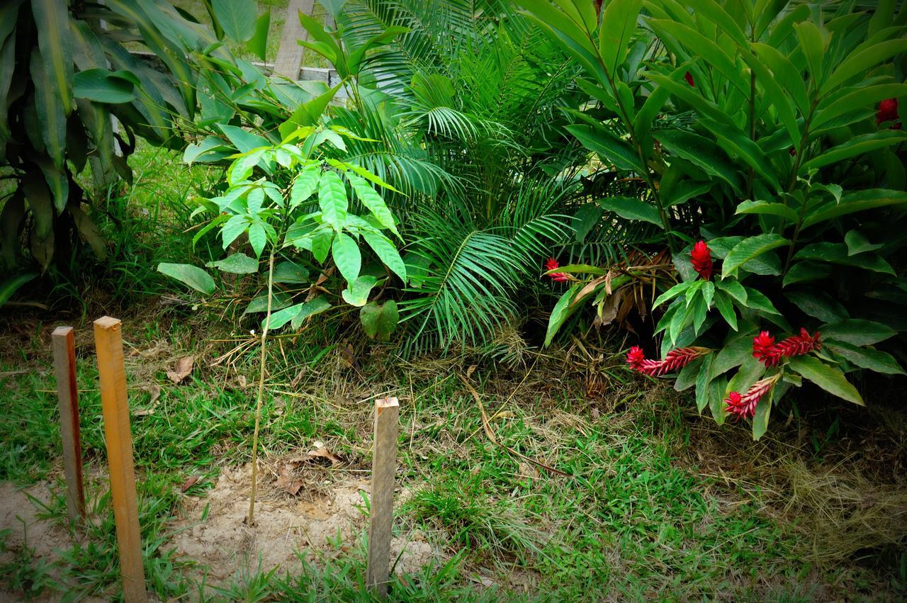Villa Hermosa de Tambopata Casa Hospedaje&Hostel Puerto Maldonado Exterior foto